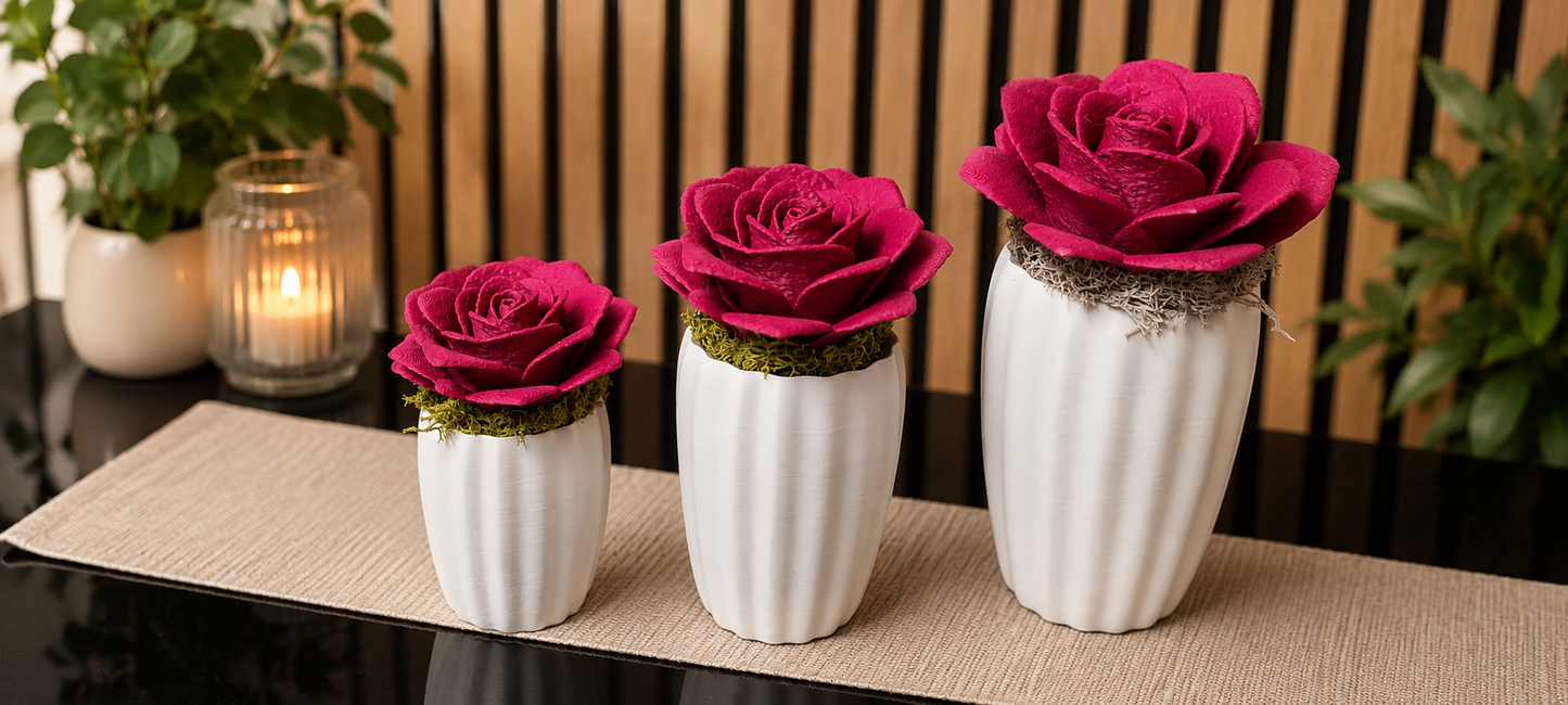 Rose im Topf